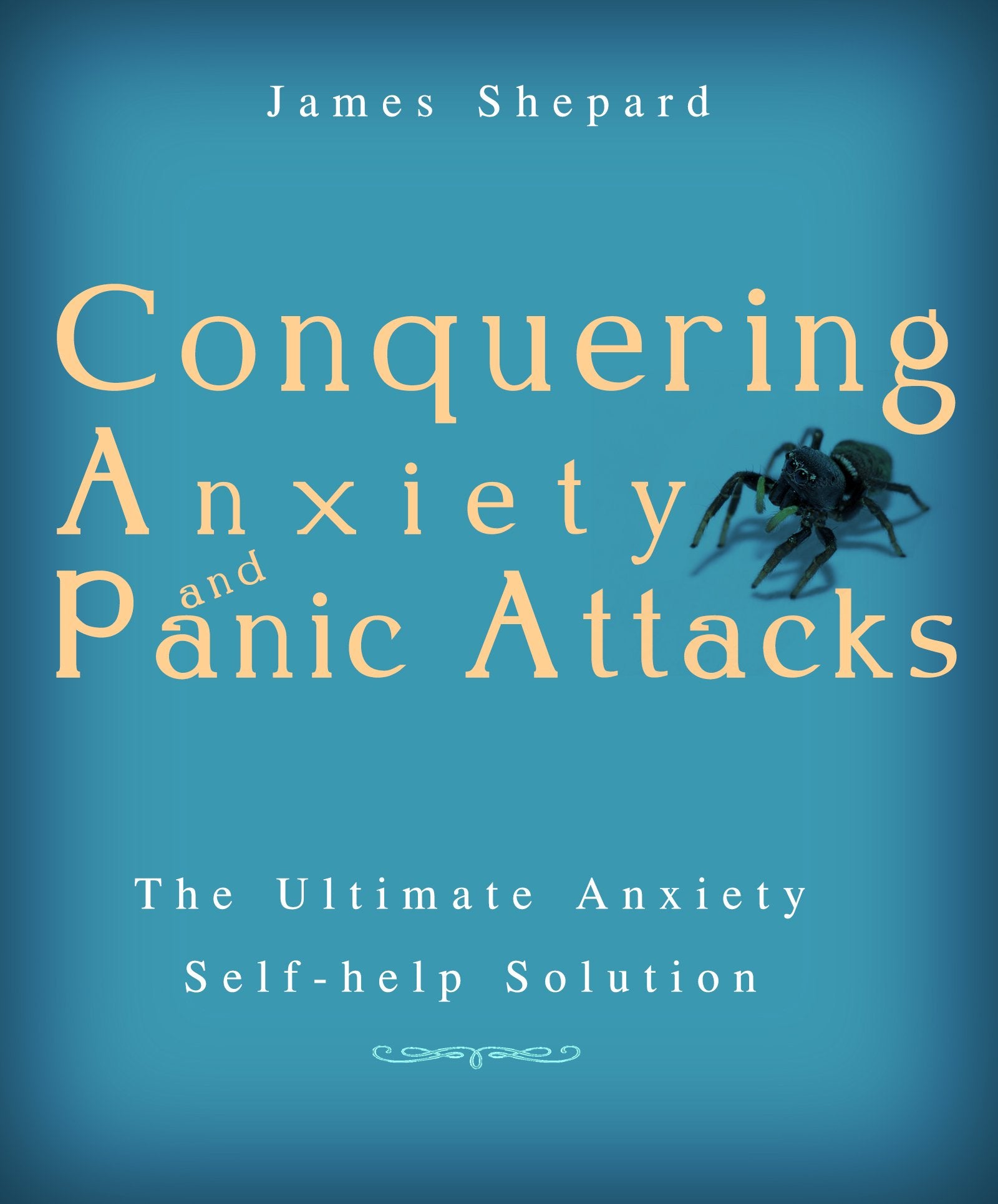 Conquering Anxiety And Panic Attacks!: The Ultimate Anxiety Solution and Self Help Book (panic disorder,panic attacks treatment,anxiety management and ... techniques,anxiety cure,anxiety books fo)